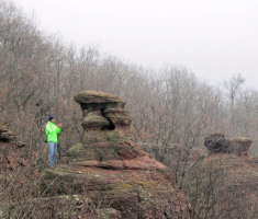 20150315_mecsek_015