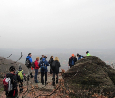 20150315_mecsek_018