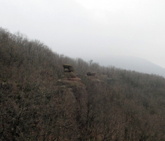 20150315_mecsek_019