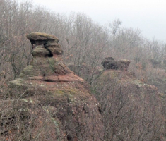 20150315_mecsek_020