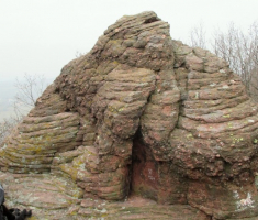 20150315_mecsek_021