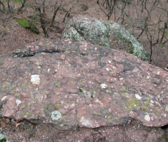 20150315_mecsek_022