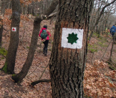 20150315_mecsek_024