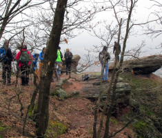 20150315_mecsek_030