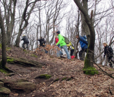 20150315_mecsek_039
