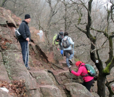 20150315_mecsek_045