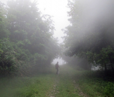 20160515_krndija_024