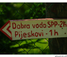 Satnica