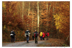 15.11.2009. Papuk