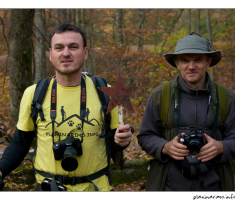 Fotografi