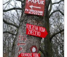 Križanje