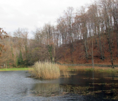 20151115_papuk_002