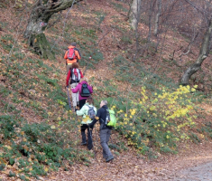 20151115_papuk_003