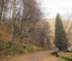 20151115_papuk_004