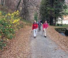 20151115_papuk_005