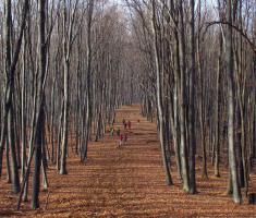 20151115_papuk_013