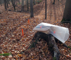 20151115_papuk_014