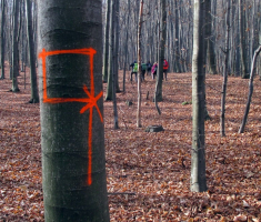 20151115_papuk_015