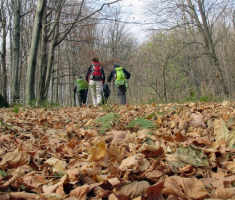 20151115_papuk_018