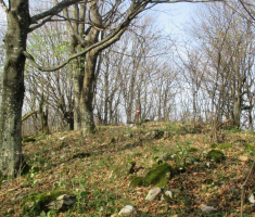 20151115_papuk_021
