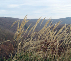 20151115_papuk_041