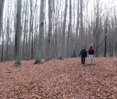 20151115_papuk_048