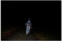 16.01.2011. Papuk