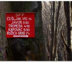 papuk008