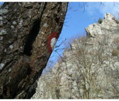 planinarimo_veseljko_034