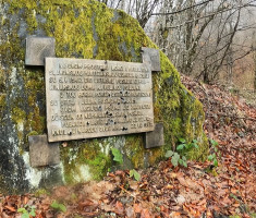 20250316_omanovac_trail_25km_041