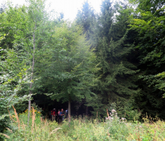 20170816_papuk_017