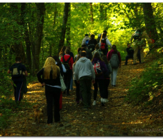 kamp_rendzera_papuk_00006