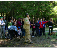 kamp_rendzera_papuk_00027