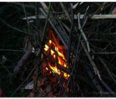 kamp_rendzera_papuk_00029