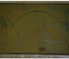 kamp_rendzera_papuk_00031