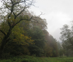 20161016_brezovo_polje_001