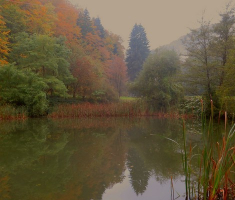 20161016_brezovo_polje_002