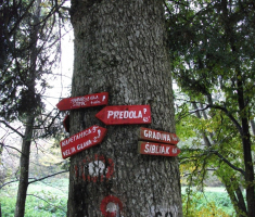 20161016_brezovo_polje_004
