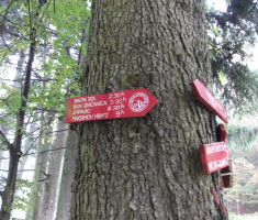 20161016_brezovo_polje_005