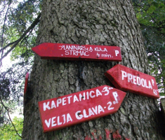 20161016_brezovo_polje_006