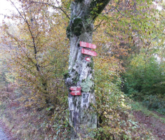 20161016_brezovo_polje_007
