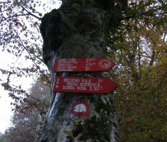 20161016_brezovo_polje_008