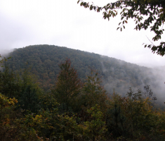 20161016_brezovo_polje_012