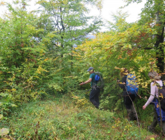 20161016_brezovo_polje_016