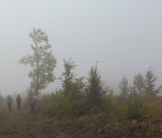 20161016_brezovo_polje_017