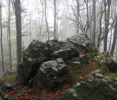 20161016_brezovo_polje_019