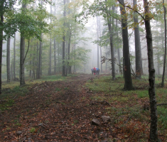 20161016_brezovo_polje_021