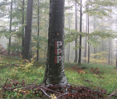 20161016_brezovo_polje_024
