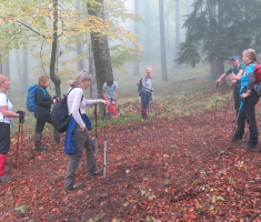 20161016_brezovo_polje_027