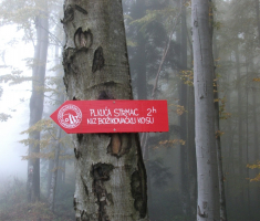 20161016_brezovo_polje_029